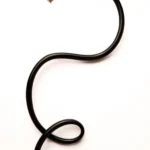 Hose (15)